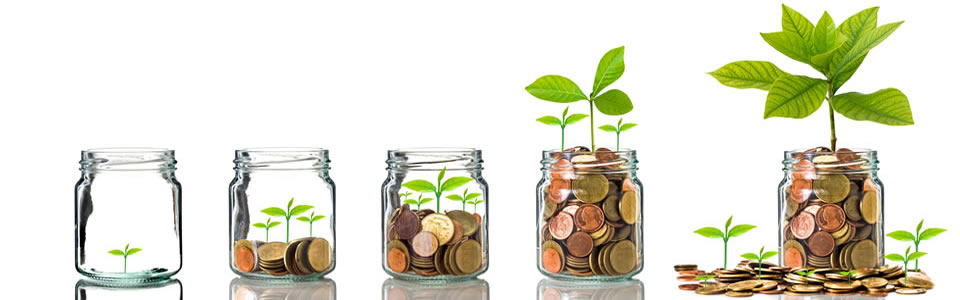 Financial Adviser Services